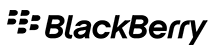 Blackberry Enterprise Logo
